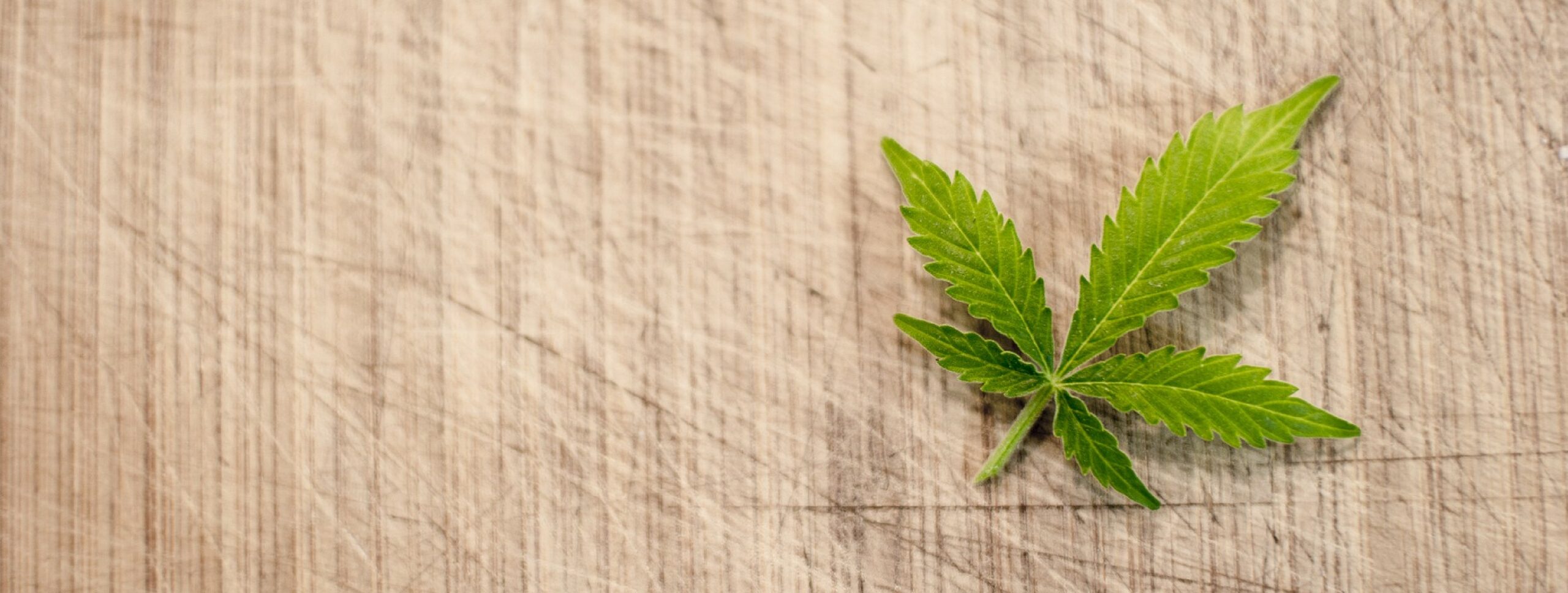 Cannabis Entrepreneurs COVID-19 News Update May 2020