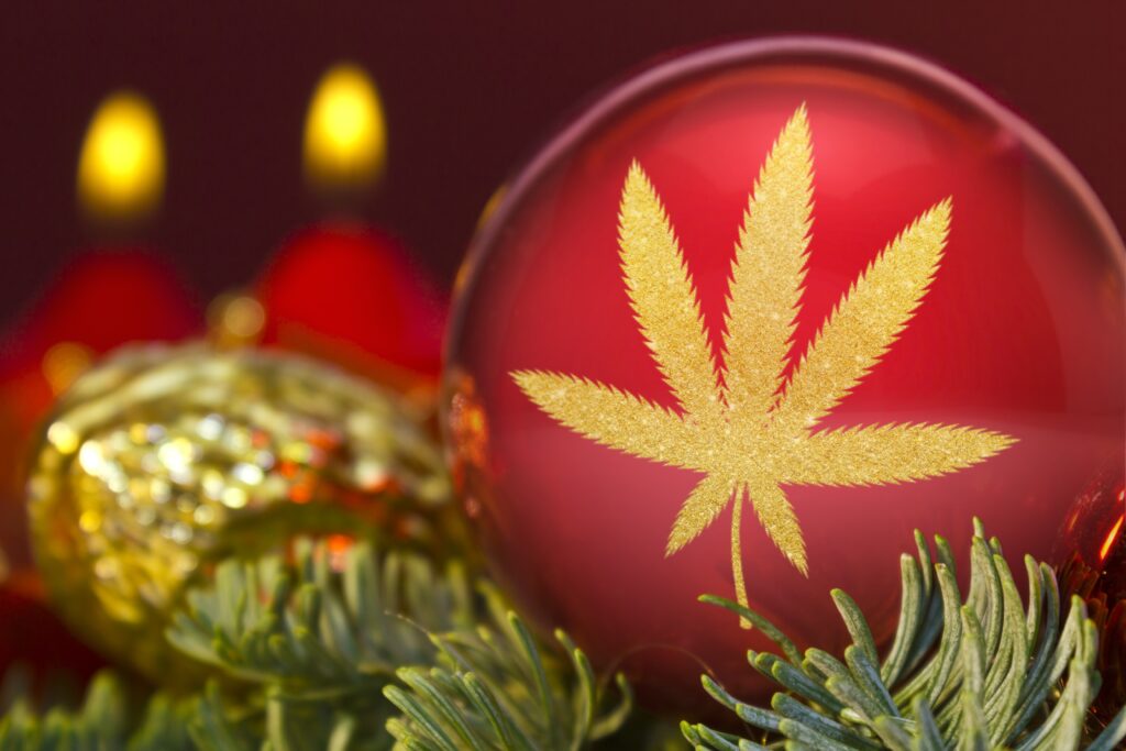 marijuana christmas news