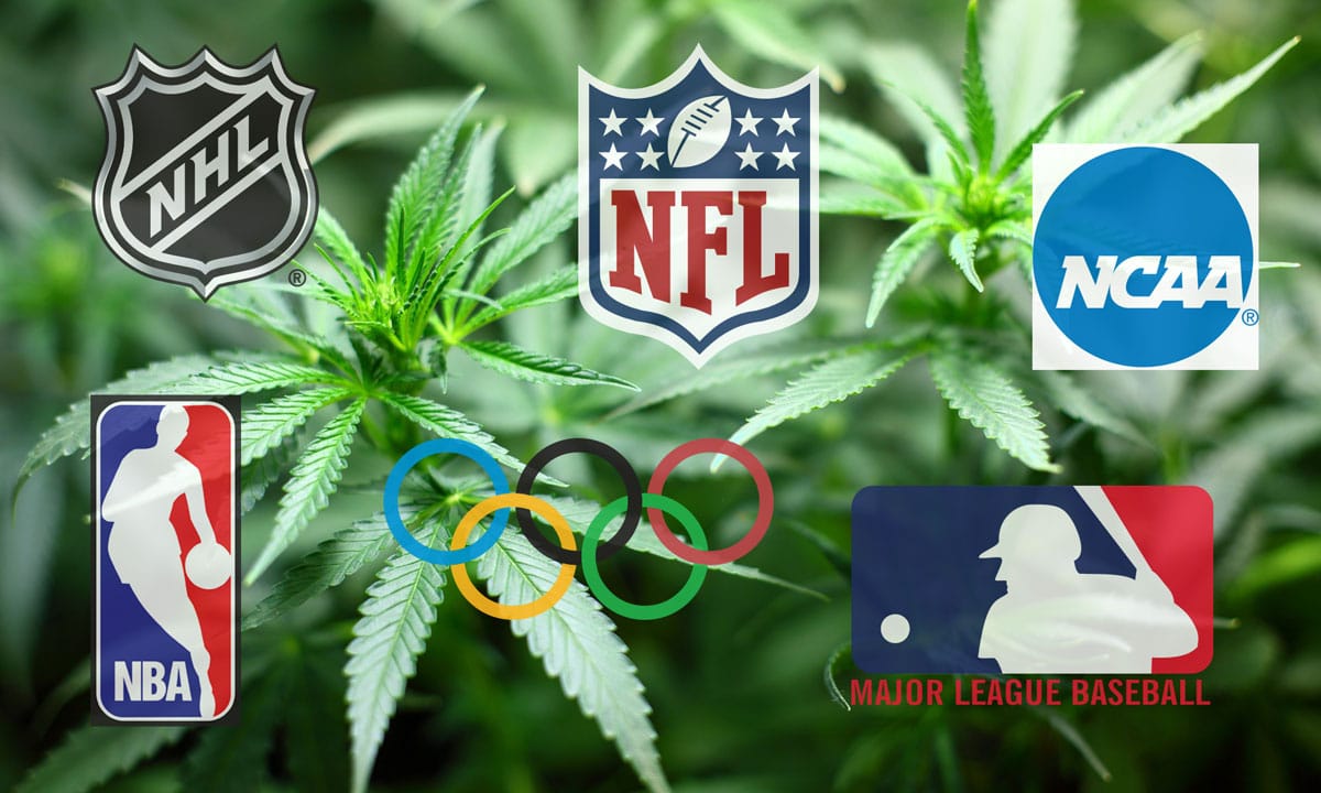Cannabis Sports Doping Laws
